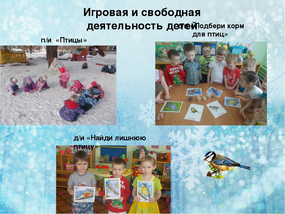 Презентация по экологии " покормите птиц зимой