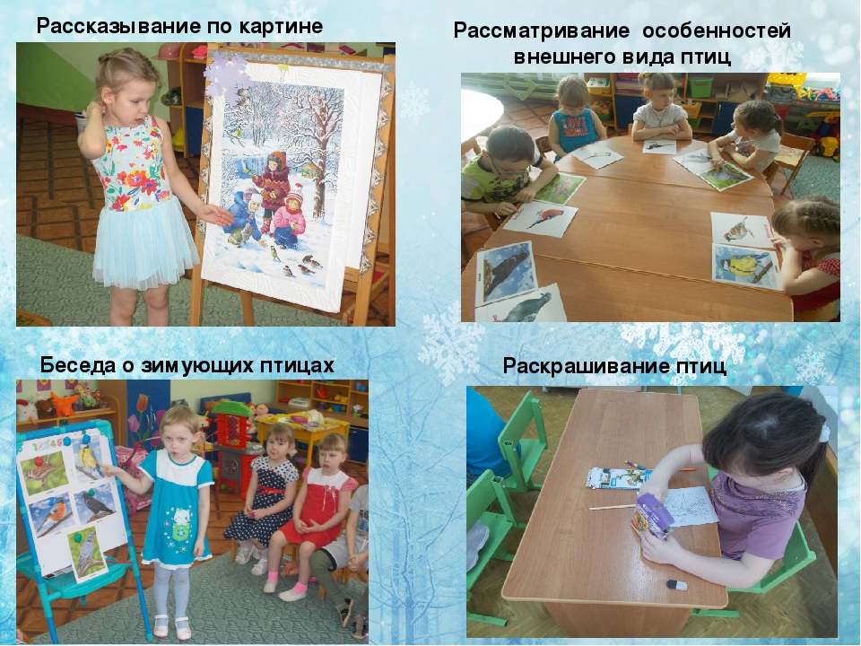 Презентация по экологии " покормите птиц зимой
