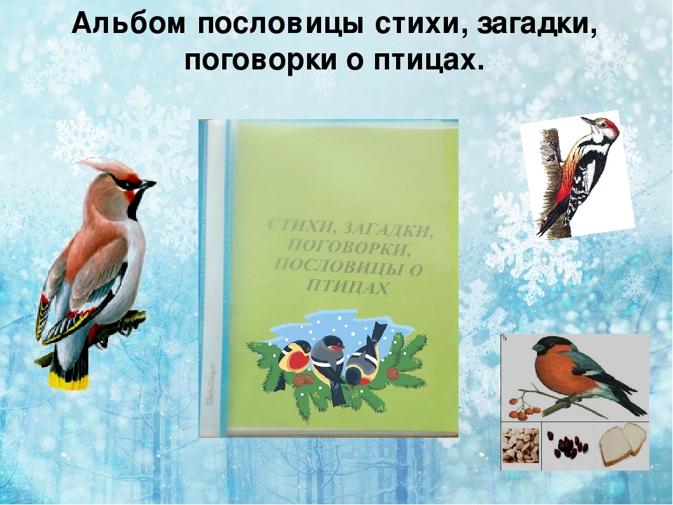 Презентация по экологии " покормите птиц зимой