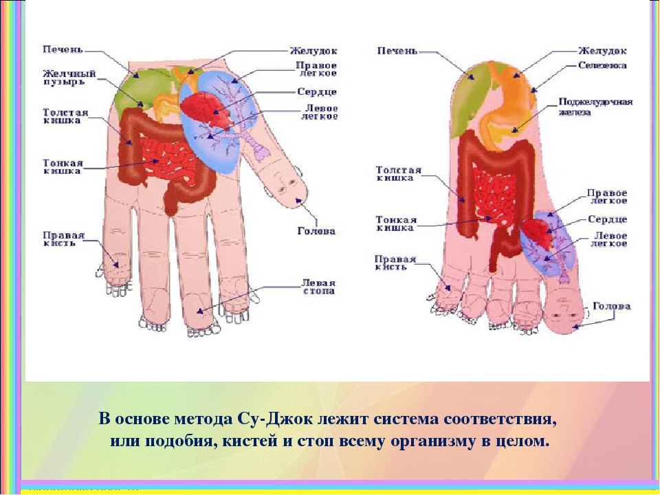 Презентация на тему "Су-Джок"
