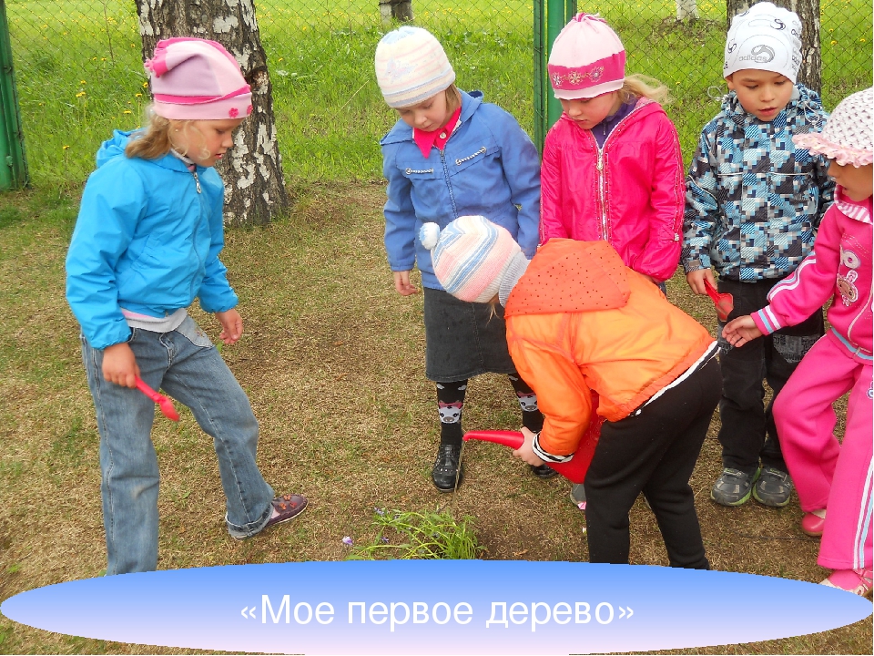 Презентация "Основная образовательная программа дошкольного образования"