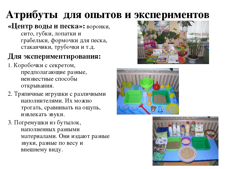 Презентация к конкурсу "Уголок природы"