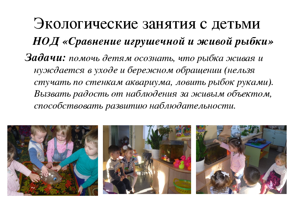 Презентация к конкурсу "Уголок природы"