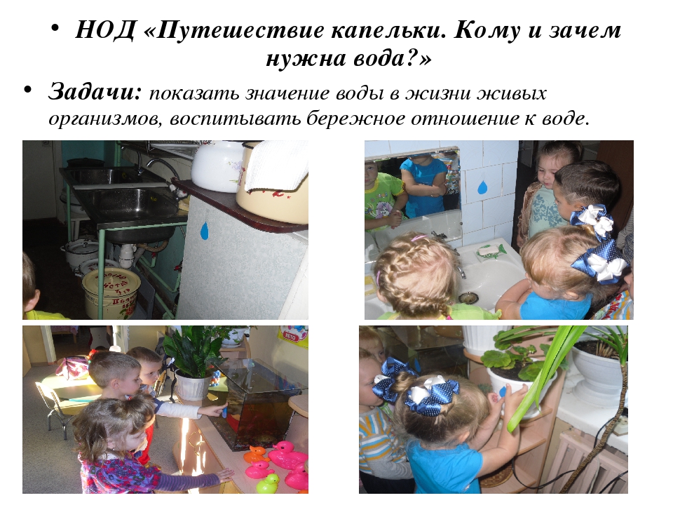 Презентация к конкурсу "Уголок природы"