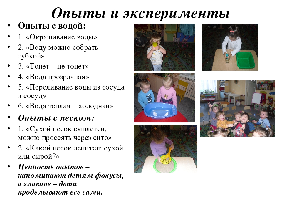 Презентация к конкурсу "Уголок природы"
