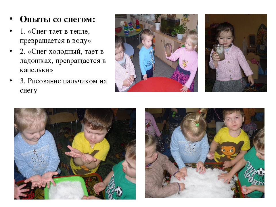 Презентация к конкурсу "Уголок природы"