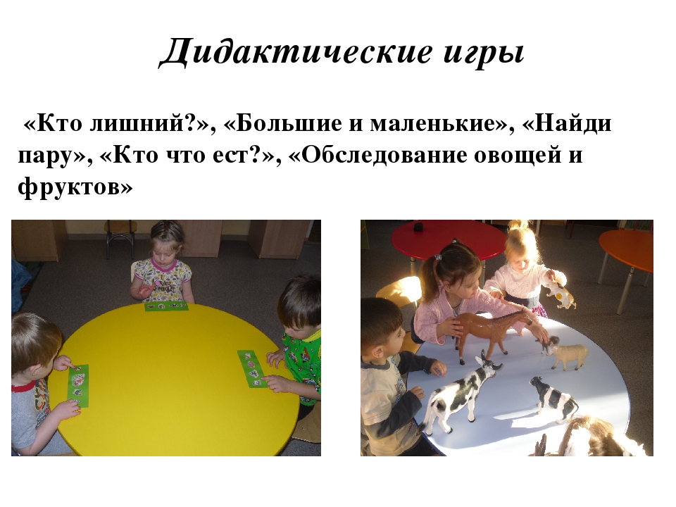Презентация к конкурсу "Уголок природы"