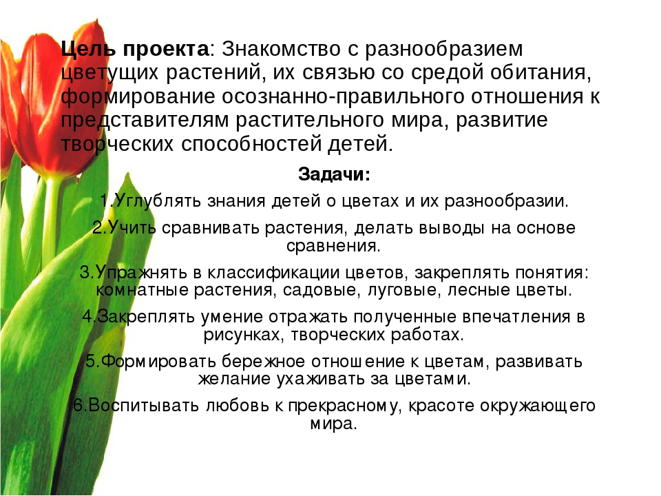 Презентация "Волшебный мир цветов"