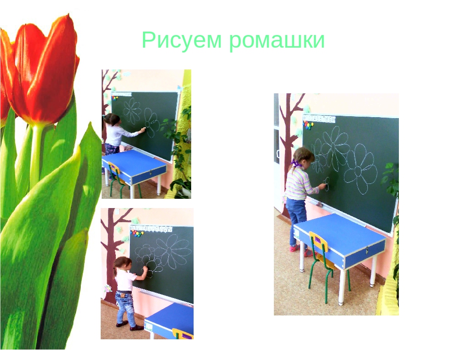 Презентация "Волшебный мир цветов"