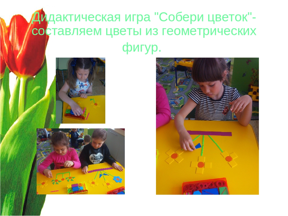 Презентация "Волшебный мир цветов"