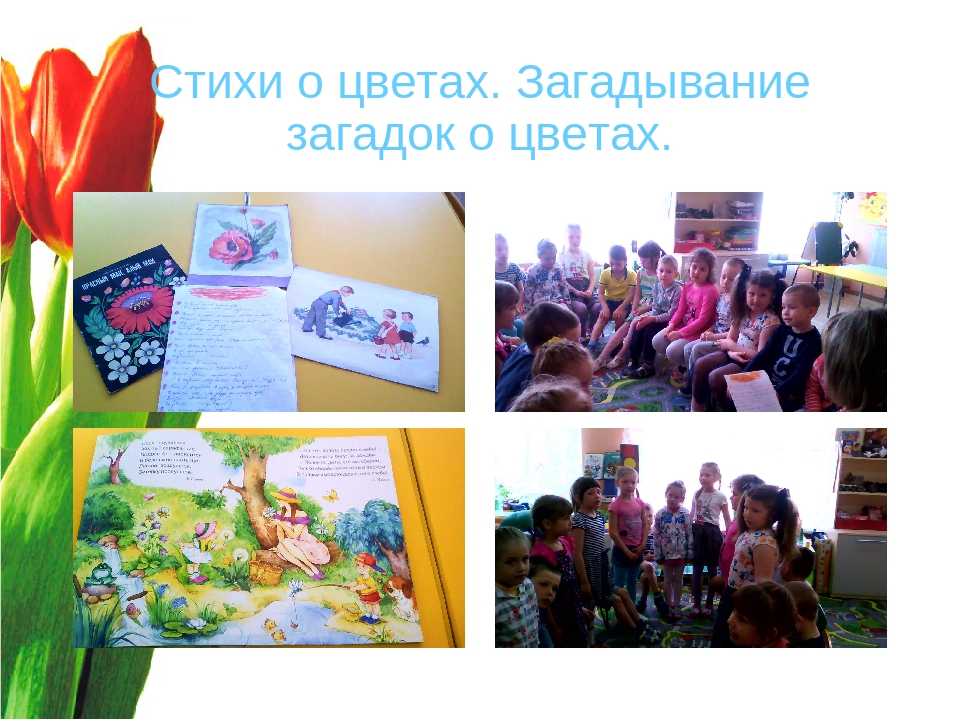 Презентация "Волшебный мир цветов"