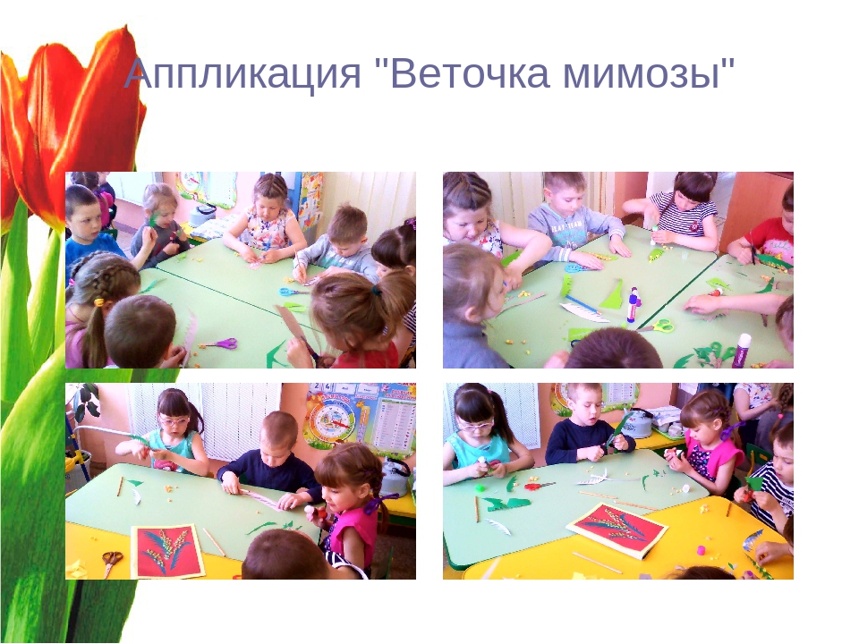 Презентация "Волшебный мир цветов"