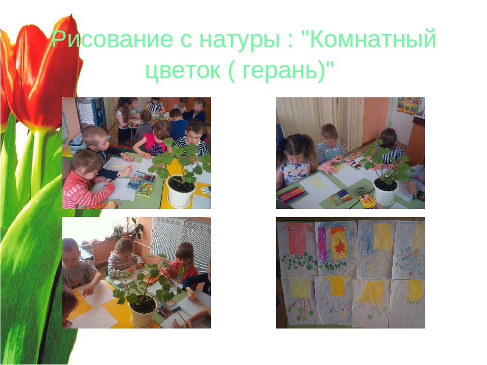 Презентация "Волшебный мир цветов"