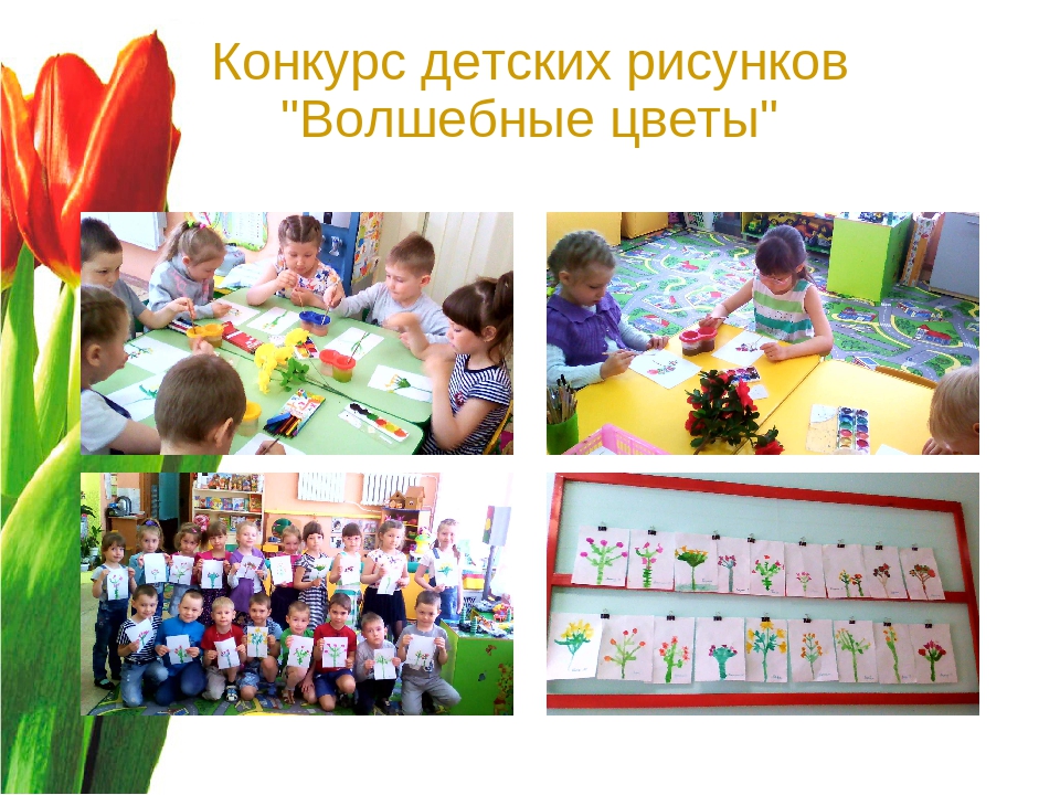 Презентация "Волшебный мир цветов"