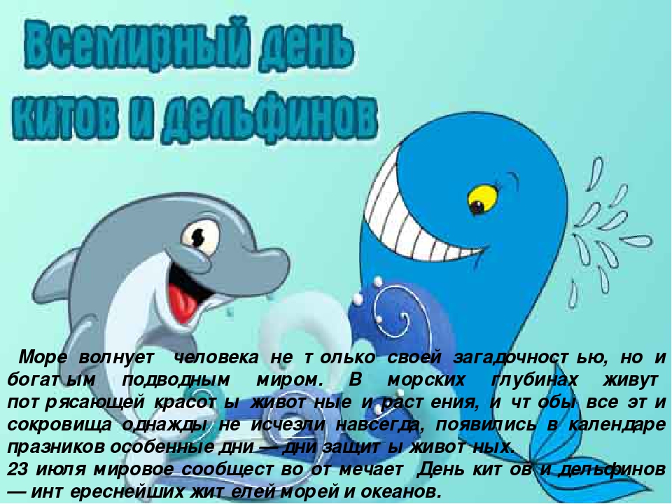 Презентация "Киты и дельфины"