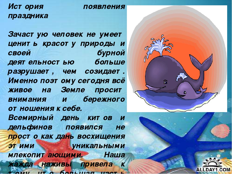 Презентация "Киты и дельфины"