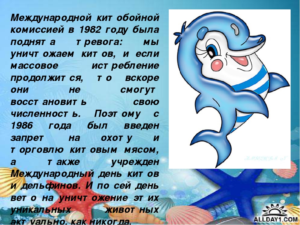 Презентация "Киты и дельфины"