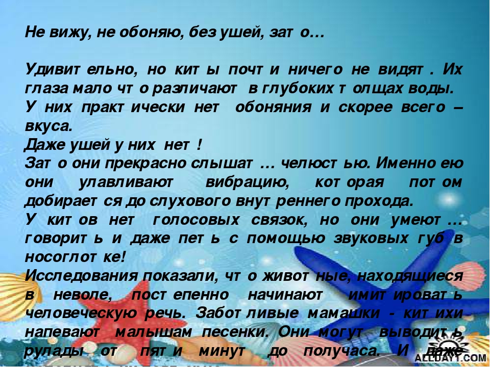 Презентация "Киты и дельфины"