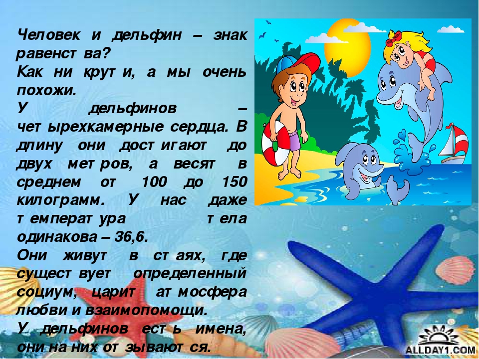 Презентация "Киты и дельфины"