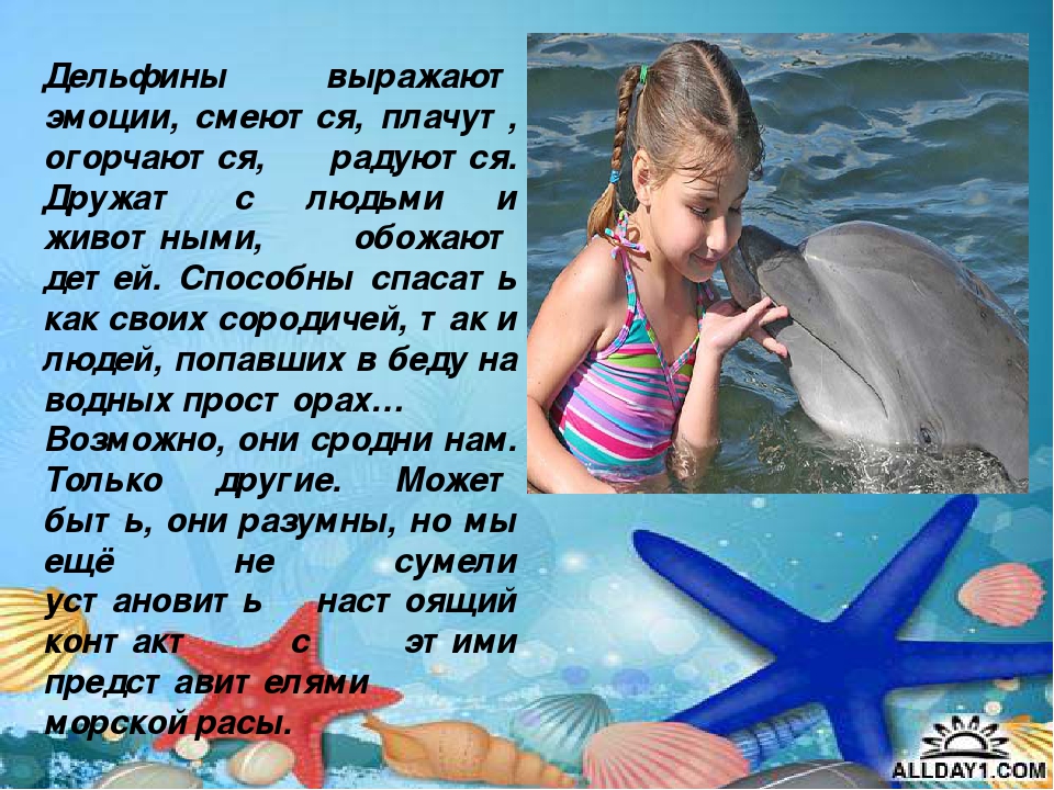 Презентация "Киты и дельфины"