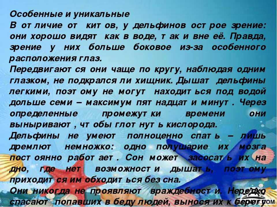Презентация "Киты и дельфины"