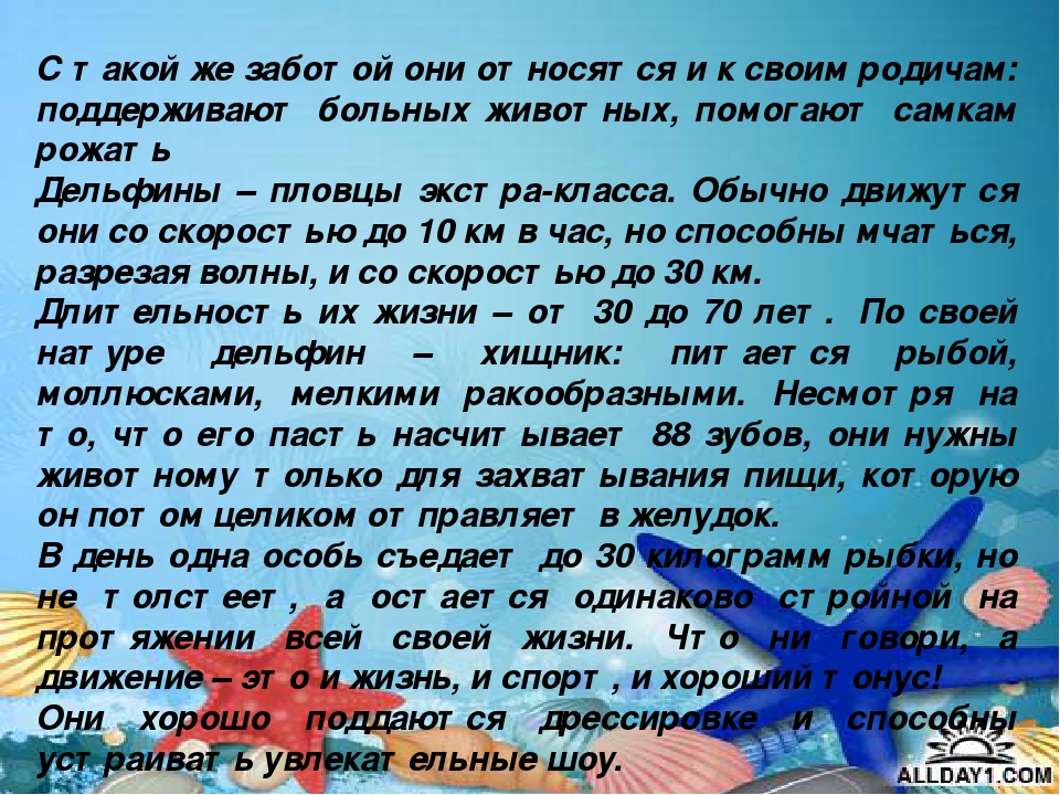 Презентация "Киты и дельфины"