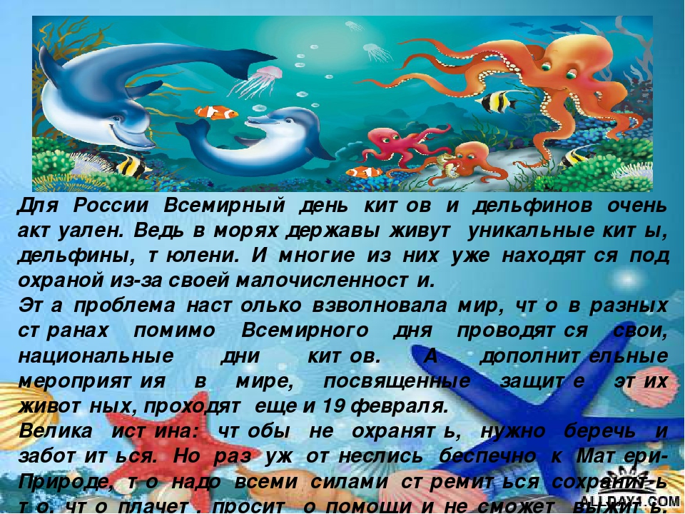 Презентация "Киты и дельфины"