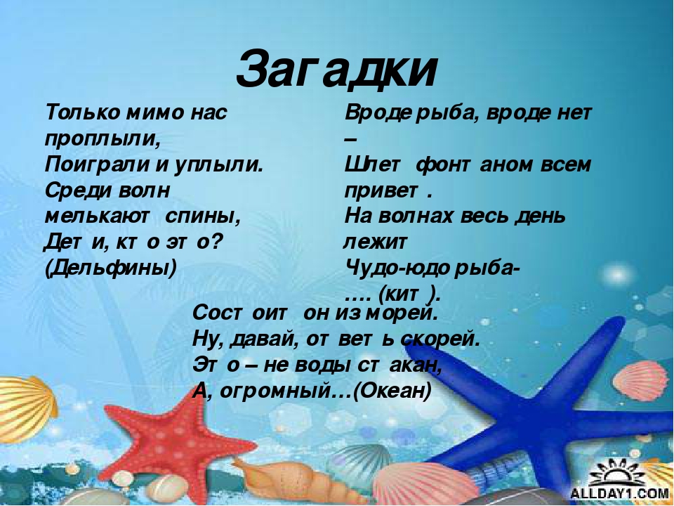 Презентация "Киты и дельфины"