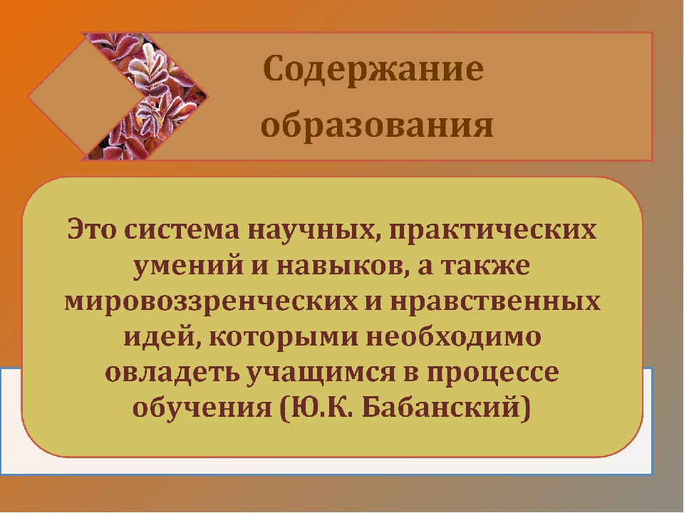 Презентация на тему_Актуальные вопросы педагогики профессионального образования_