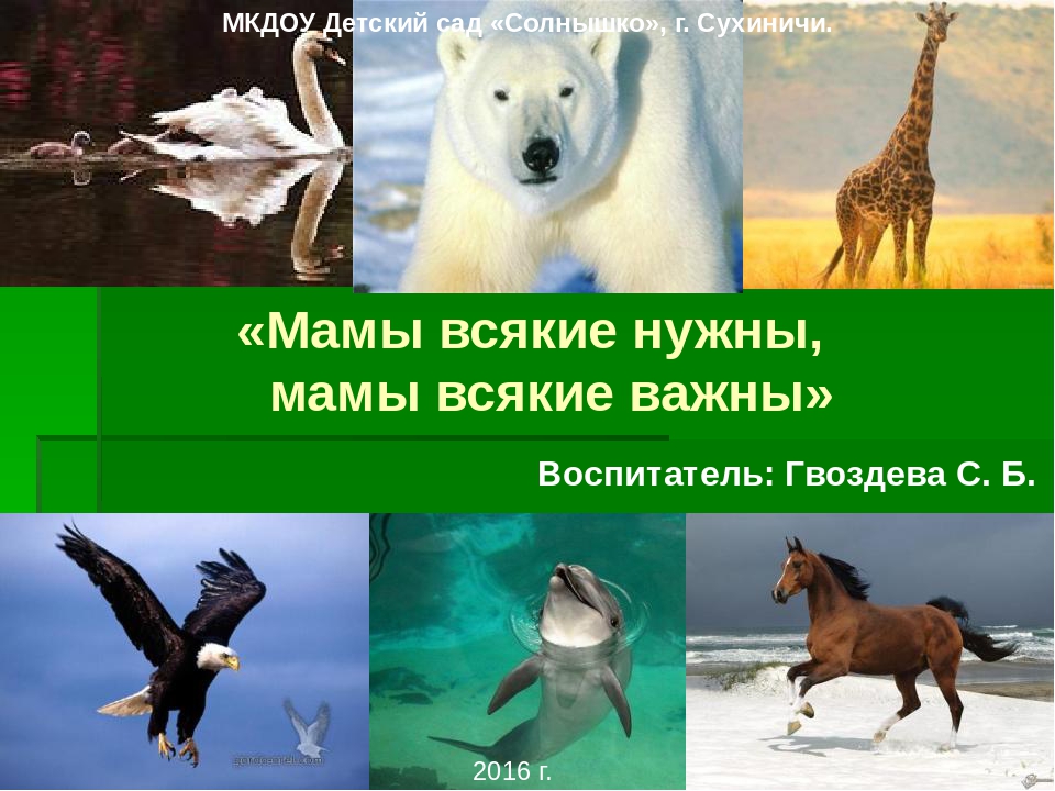Презентация на тему "Мамы всякие нужны, мамы всякие важны"