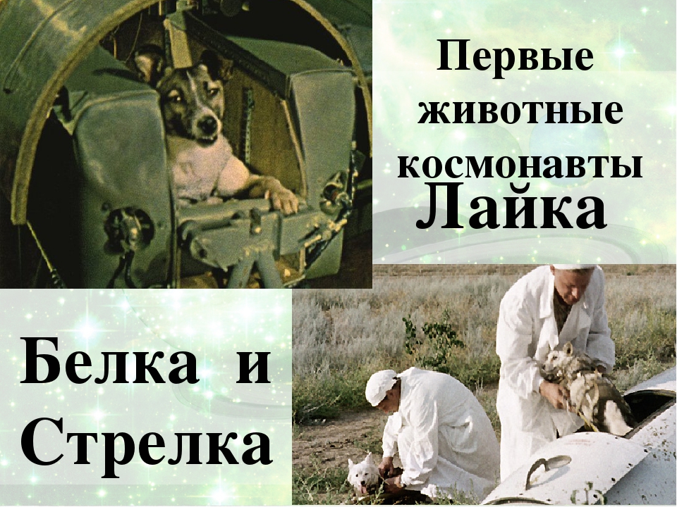 Презентация о космосе "Просторы вселенной"