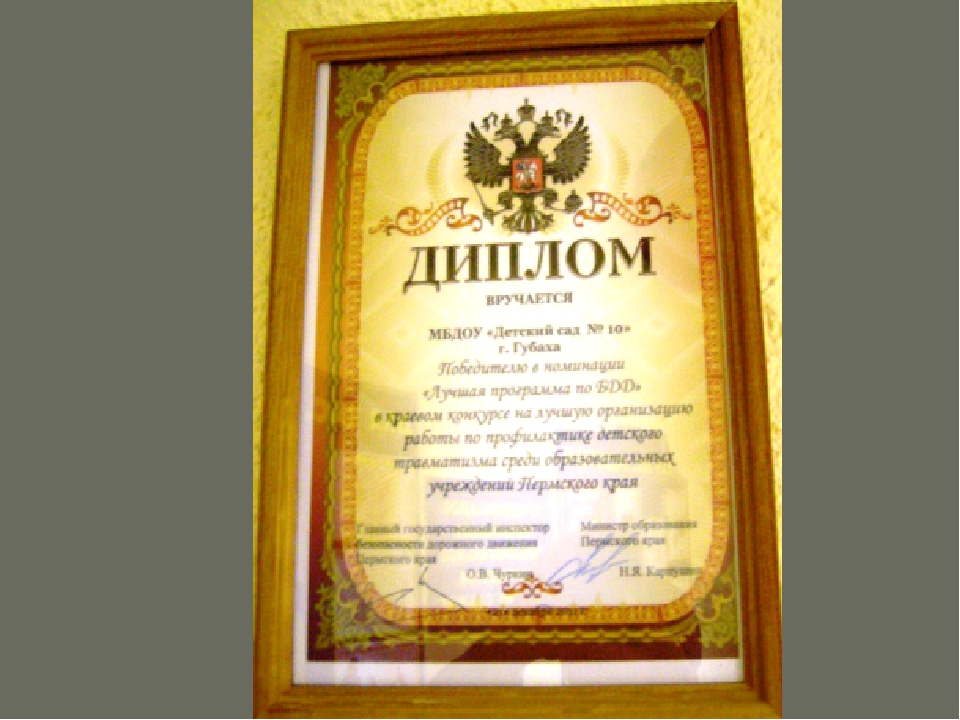 Презентация к программе "Путешествие в страну Дорожных знаков"