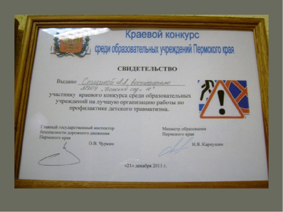 Презентация к программе "Путешествие в страну Дорожных знаков"