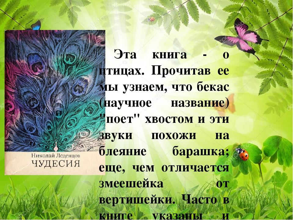 Ознакомительная презентация "Саратовский писатель Н.И.Леденцов"