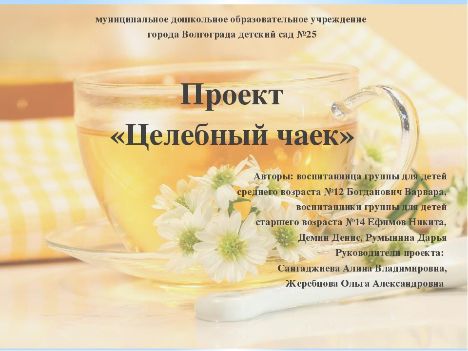 Презентация проекта "Целебный чаек"