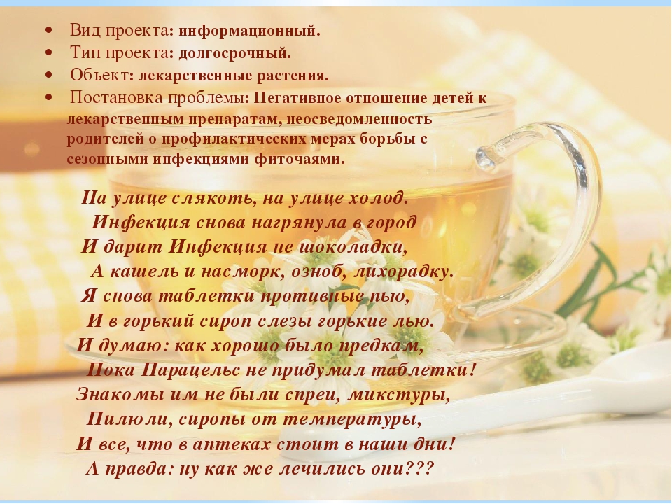 Презентация проекта "Целебный чаек"
