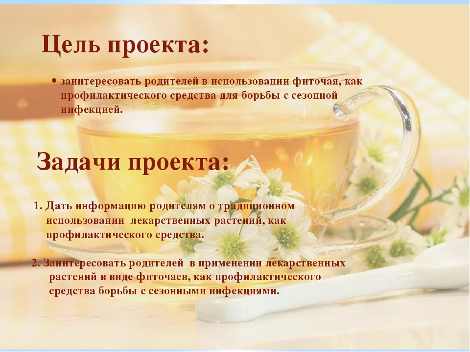 Презентация проекта "Целебный чаек"