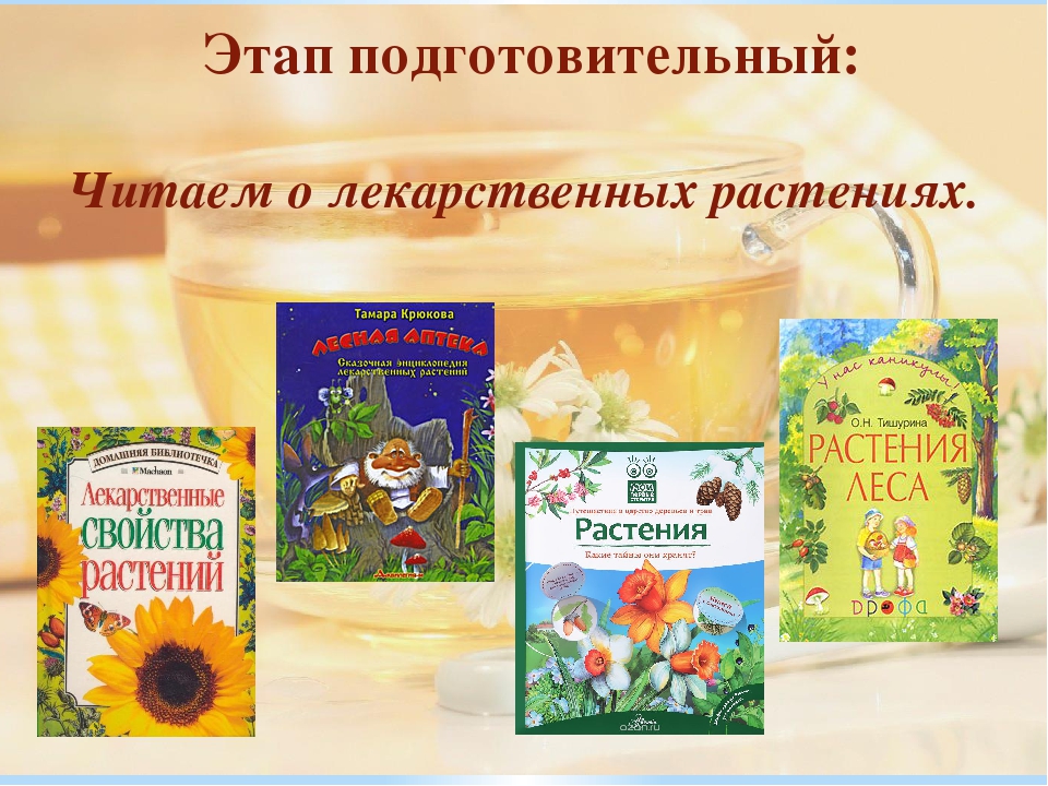Презентация проекта "Целебный чаек"