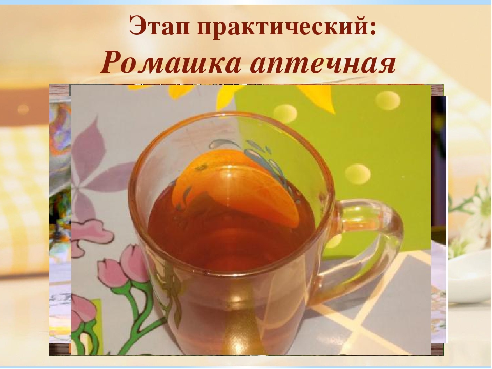 Презентация проекта "Целебный чаек"