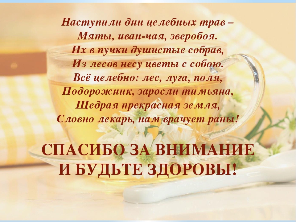 Презентация проекта "Целебный чаек"
