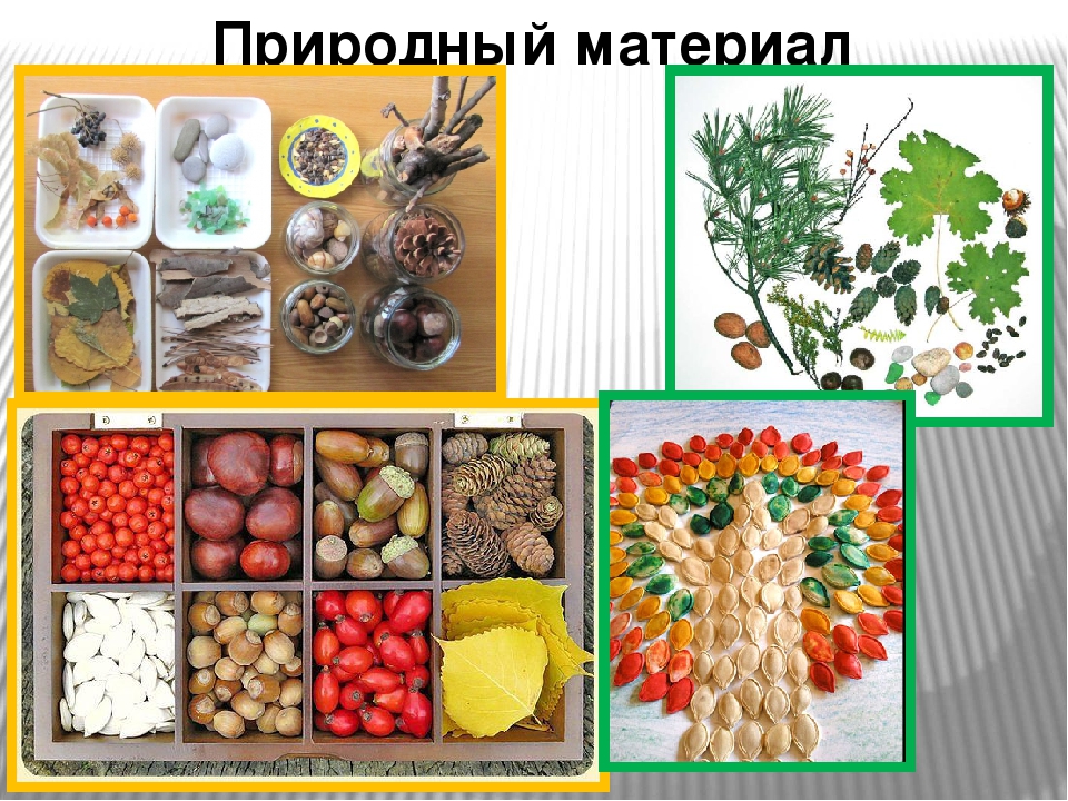 Конструирование в детском саду