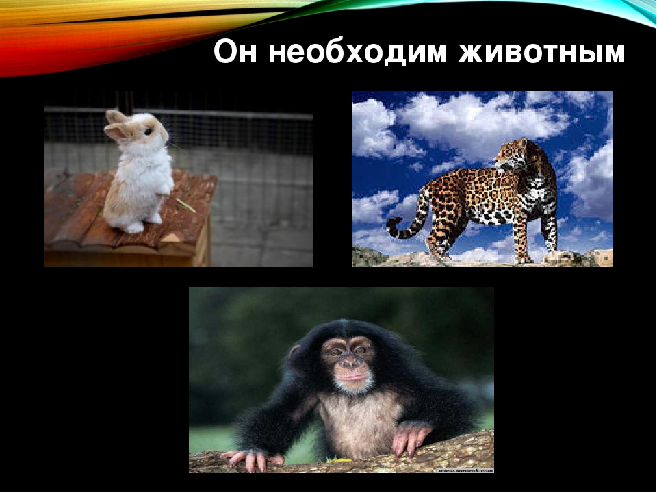 Презентация к проекту "Воздух-которым мы дышим"