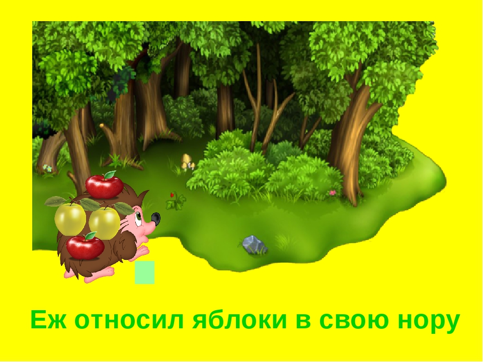 Презентация «Ёж». Короткие рассказы