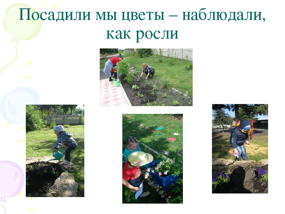 Творческий проект по благоустройству участка "Светлячки"