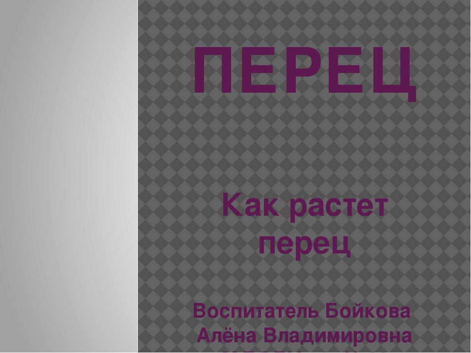 Презентация "Как растет перец"