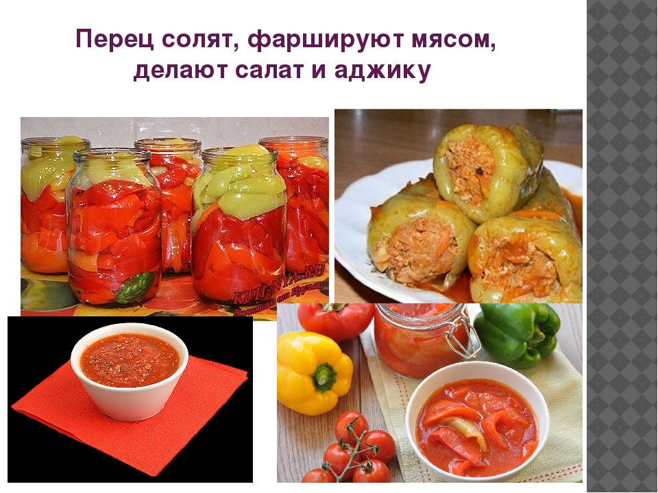 Презентация "Как растет перец"
