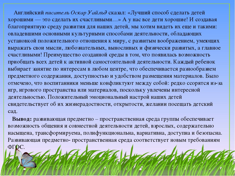 Развивающая предметно-пространственная среда  ФГОС ДО