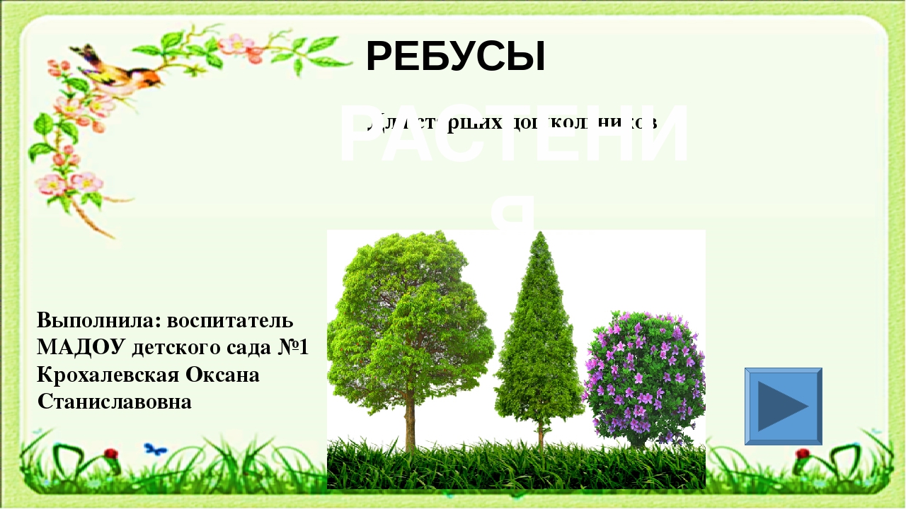 Ребусы растений с ответами. Ребусы про растения. Ребус дерево. Ребусы про деревья с ответами. Ребусы про растения с ответами.