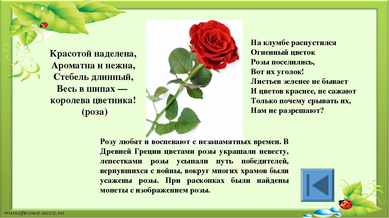 Игра для старших дошкольников РЕБУСЫ "Растения"
