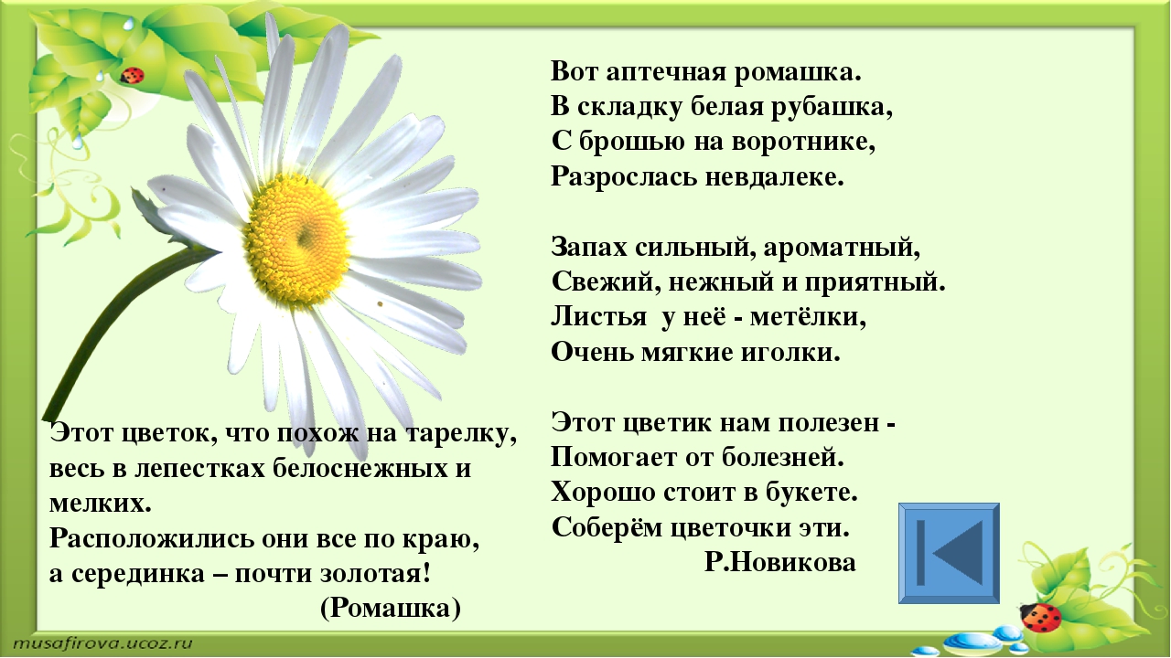 Игра для старших дошкольников РЕБУСЫ "Растения"